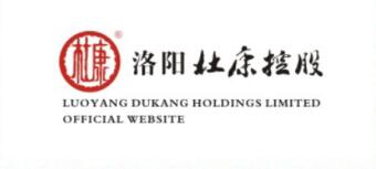 杜康控股
